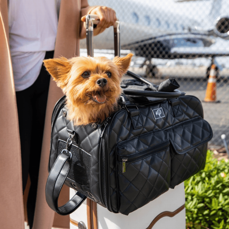 Luxurious Travel: The Lux Pet Carrier for Your Beloved Companion - Growtochoice LLC
