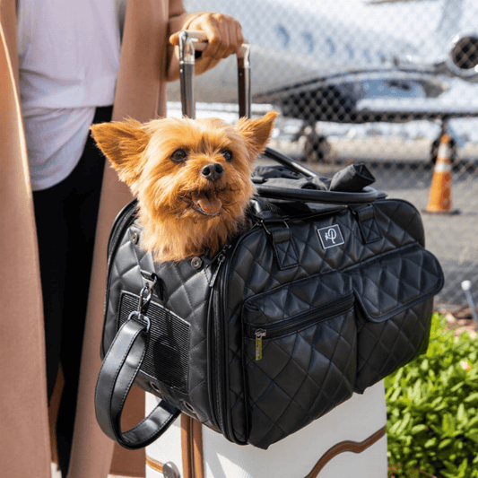 Luxurious Travel: The Lux Pet Carrier for Your Beloved Companion - Growtochoice LLC