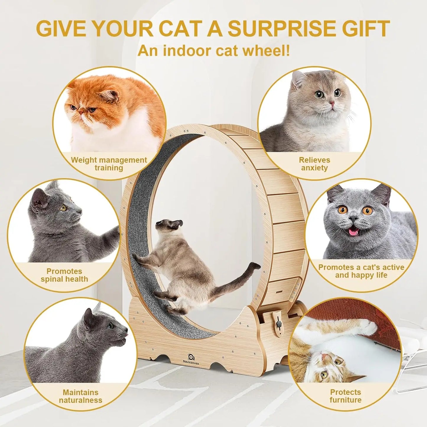 Large Cat Treadmill with Carpeted Runway – Exercise Wheel for Indoor Cats - Growtochoice LLC