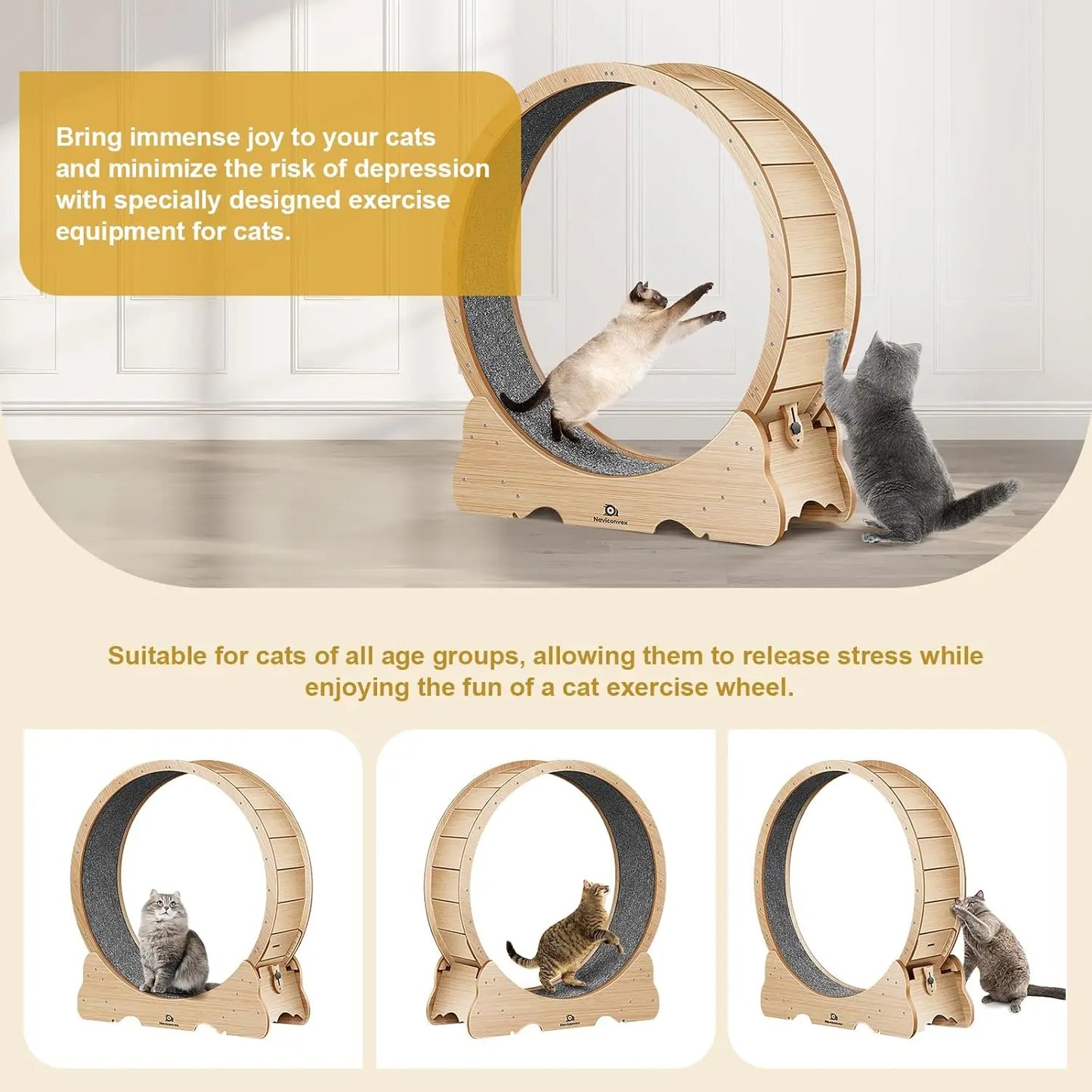 Large Cat Treadmill with Carpeted Runway – Exercise Wheel for Indoor Cats - Growtochoice LLC
