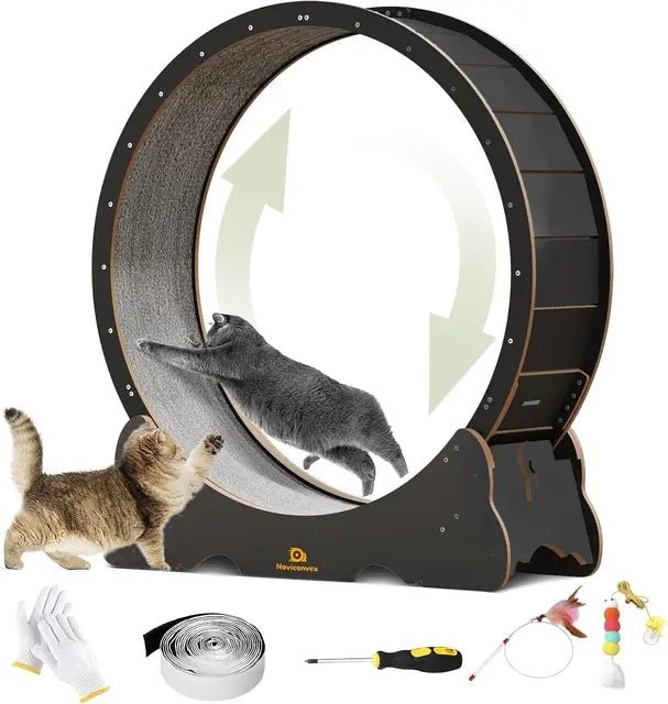 Large Cat Treadmill with Carpeted Runway – Exercise Wheel for Indoor Cats - Growtochoice LLC