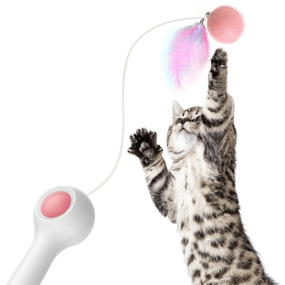 Cat Retractable Stick Feather Toy - Growtochoice LLC