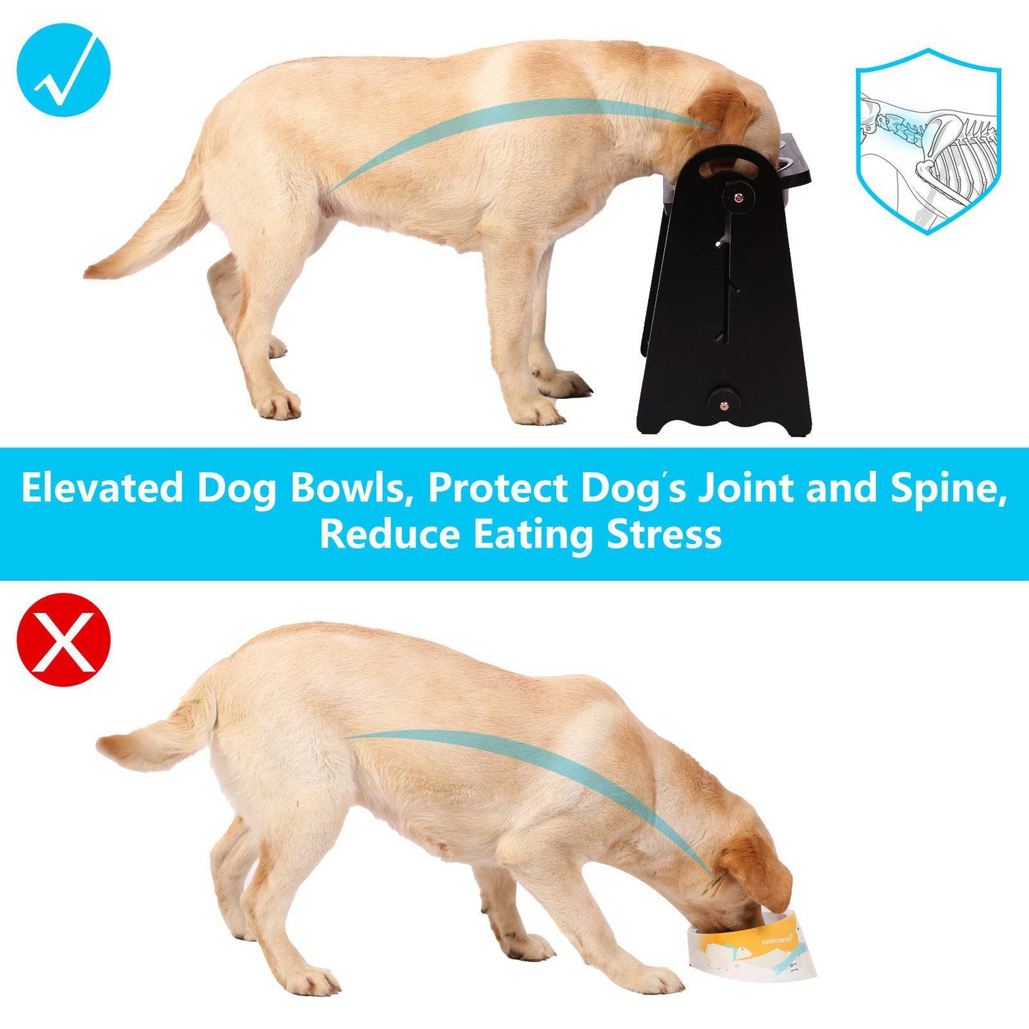 Adjustable Height Raised Dog Feeder - Stylish Elevated Bowls for Medium to Large Dogs, Perfect for Food and Water - Growtochoice LLC