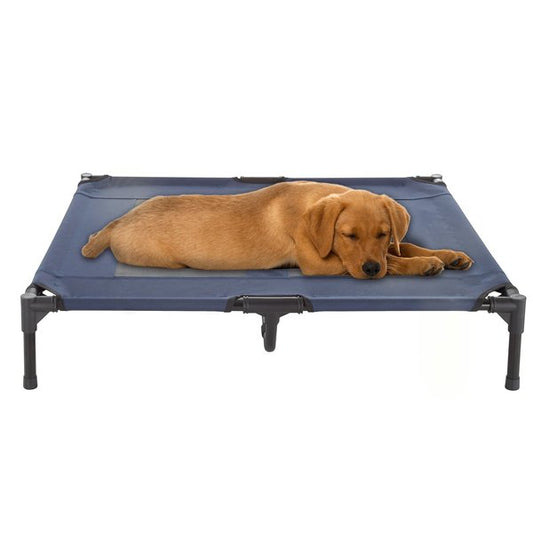 Stylish Navy Elevated Dog Bed with Steel Frame | GROWTOCHOICE Collection