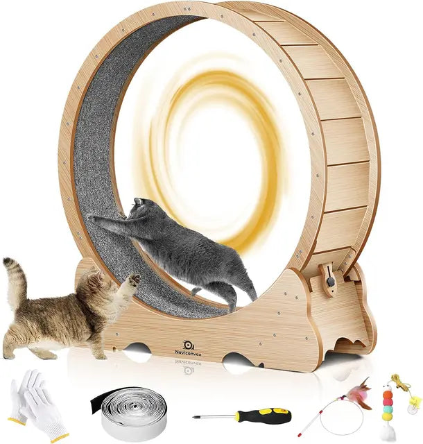 Large Cat Treadmill with Carpeted Runway – Exercise Wheel for Indoor Cats