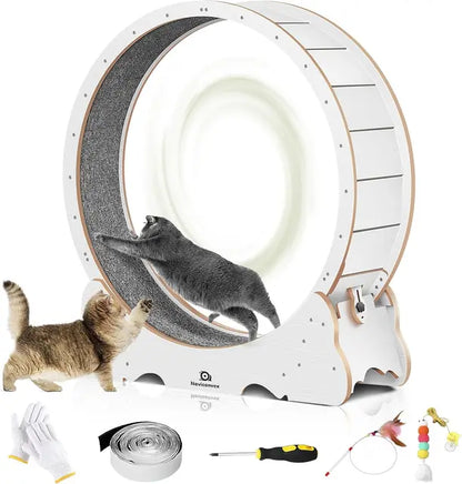 Large Cat Treadmill with Carpeted Runway – Exercise Wheel for Indoor Cats