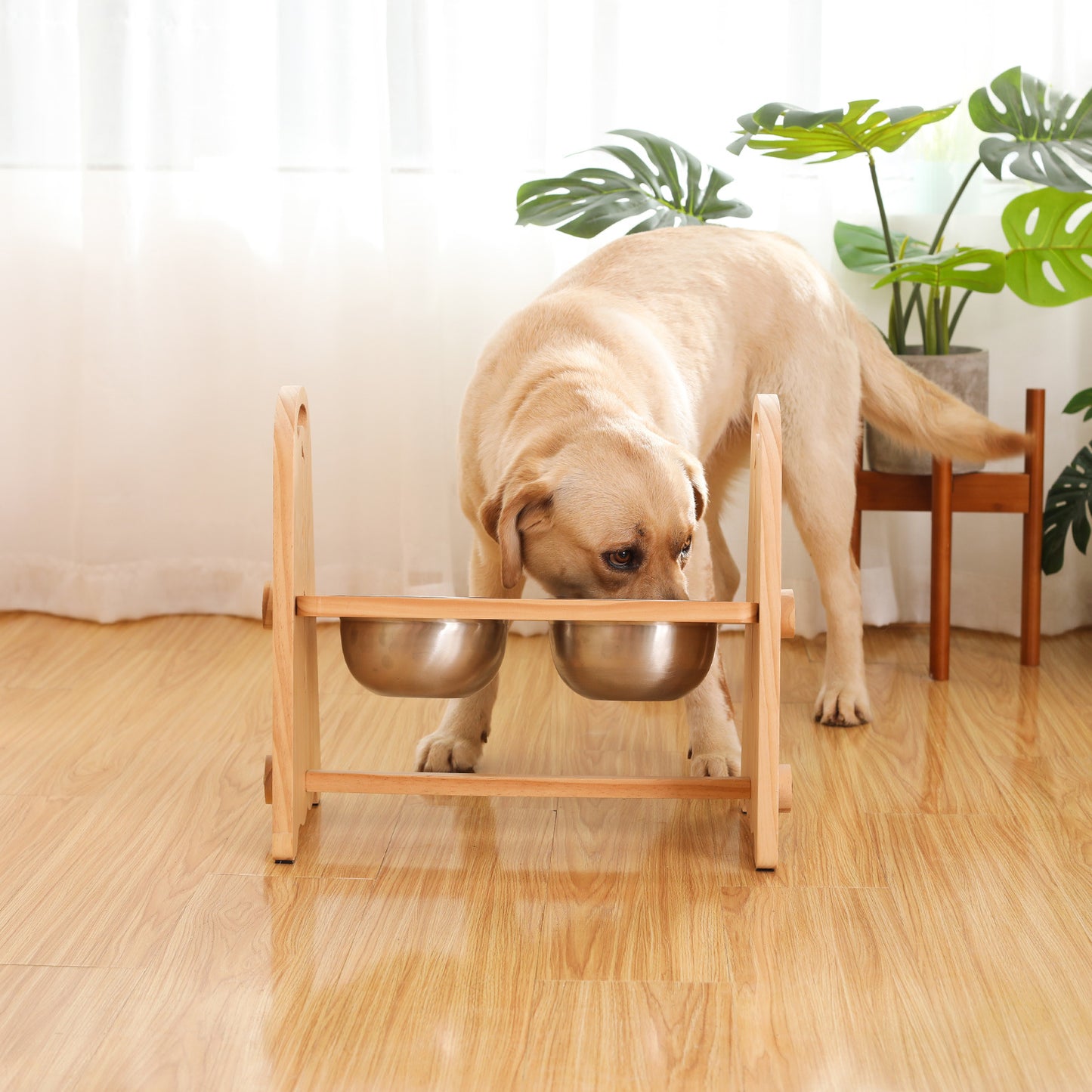 Adjustable Height Raised Dog Feeder - Stylish Elevated Bowls for Medium to Large Dogs, Perfect for Food and Water